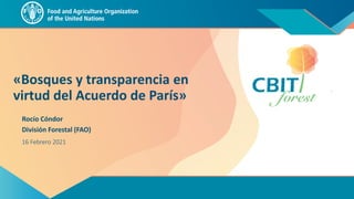 «Bosques y transparencia en
virtud del Acuerdo de París»
División Forestal (FAO)
16 Febrero 2021
Rocío Cóndor
 