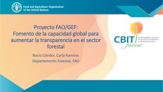 Proyecto FAO/GEF:
Fomento de la capacidad global para
aumentar la transparencia en el sector
forestal
Rocío Cóndor, Carla Ramirez
Departamento Forestal, FAO
 