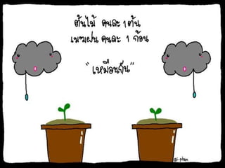 กระบวนการแลก๶ปลี่ยนภาคใต้โดยคุณȨȨโชค