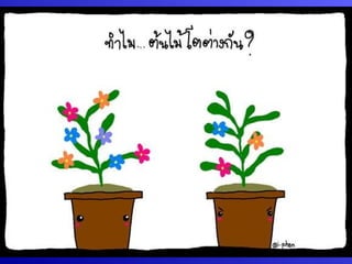 กระบวนการแลก๶ปลี่ยนภาคใต้โดยคุณȨȨโชค
