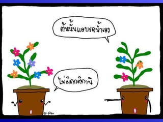 กระบวนการแลก๶ปลี่ยนภาคใต้โดยคุณȨȨโชค