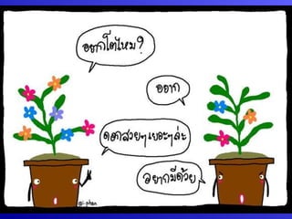 กระบวนการแลก๶ปลี่ยนภาคใต้โดยคุณȨȨโชค