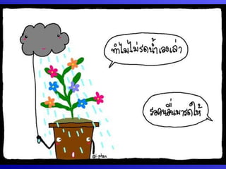 กระบวนการแลก๶ปลี่ยนภาคใต้โดยคุณȨȨโชค