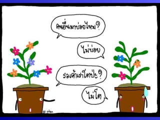กระบวนการแลก๶ปลี่ยนภาคใต้โดยคุณȨȨโชค
