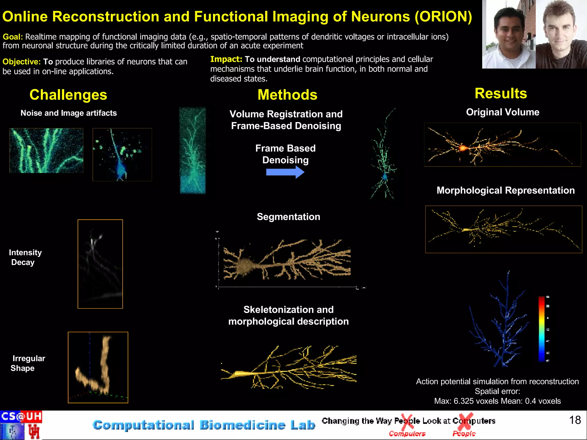 Online Reconstruction and Functional Imaging of Neurons (ORION) Challenges Results Methods Objective:   To  produce libraries of neurons that can be used in on-line applications. Impact:   To understand  computational principles and cellular mechanisms that underlie brain function, in both normal and diseased states. Goal:   Realtime mapping of functional imaging data (e.g., spatio-temporal patterns of dendritic voltages or intracellular ions) from neuronal structure during the critically limited duration of an acute experiment Original Volume Morphological Representation Intensity Decay Irregular Shape Noise and Image artifacts Frame Based Denoising Action potential simulation from reconstruction Spatial error: Max: 6.325 voxels Mean: 0.4 voxels Skeletonization and morphological description Segmentation Volume Registration and Frame-Based Denoising 100   µ m 