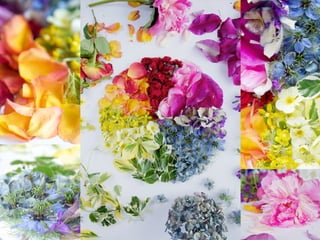 Blog Photography Workshop • Blognix 2014