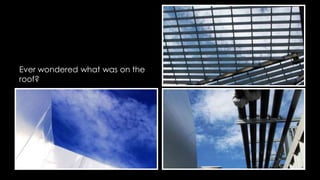 Ever wondered what was on the 
roof? 
 