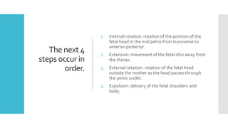 CBL Management of labour.pdf