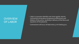 CBL Management of labour.pdf
