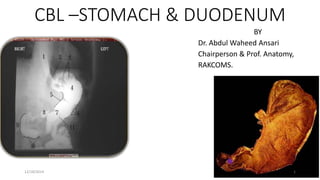 CBL –STOMACH & DUODENUM
BY
Dr. Abdul Waheed Ansari
Chairperson & Prof. Anatomy,
RAKCOMS.
12/18/2014 1
 