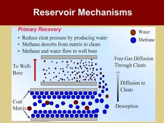 COAL BED METHANE & CO2 SEQUESTRATION | PPTX