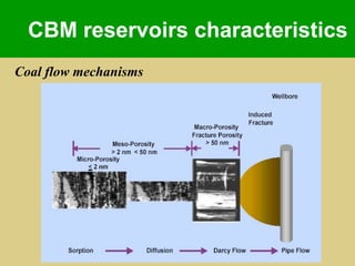 COAL BED METHANE & CO2 SEQUESTRATION | PPTX