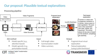 An Experimental Study on Generating Plausible Textual Explanations for ...