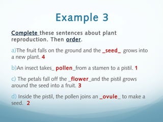 Complete these sentences about plant
reproduction. Then order.
a)The fruit falls on the ground and the _seed_ grows into
a new plant. 4
b)An insect takes_ pollen_from a stamen to a pistil. 1
c) The petals fall off the _flower_and the pistil grows
around the seed into a fruit. 3
d) Inside the pistil, the pollen joins an _ovule_ to make a
seed. 2
Example 3
 