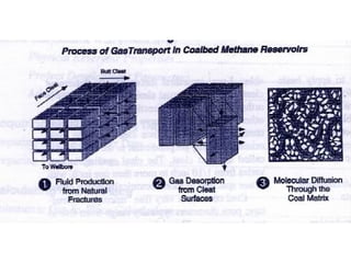 Coal Bed Methane Reservoir Engineering presentation | PPT