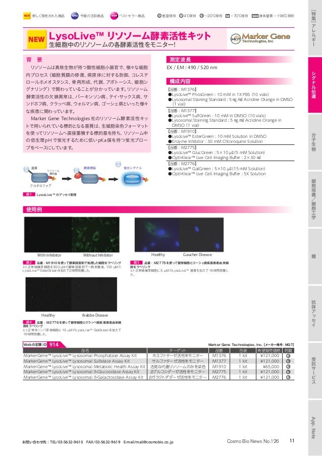 期間限定特価品 Qrt Pcr酵素 細胞溶解バッファー付き Taqman Icycler対応 Fucoa Cl 期間限定特価品 Qrt Pcr酵素 細胞溶解バッファー付き Taqman Icycler対応 Fucoa Cl