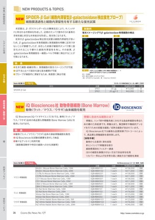 NEW PRODUCTS  TOPICS
iQ Biosciences（iQバイオサイエンス）社では、動物（ラット／マ
ウス／ウサギ）由来の高品質な骨髄細胞（Bone Marrow Cells）を
販売しております。
特　長
●動物（ラット／マウス／ウサギ）由来の凍結骨髄細胞を販売
●iQ Biosciences社試験成績書を添付して納品
●様々なアッセイに利用可能
　（細胞集団解析や特定の細胞への分化実験等）
骨髄に含まれる細胞とは ?
骨髄は、リンパ球や骨髄系統に分化する造血幹細胞を得るた
めの優れた供給源です。骨髄はまた、集団解析や機能的アッセ
イを行うための前駆B細胞／成熟B細胞が含まれています。
iQ Biosciences社では厳格な品質制御プロトコールによっ
て、高品質な骨髄細胞を提供致します。
［採取手順］
動物から注意深く骨を採取
針とシリンジで骨髄液を吸引
細胞懸濁液をフィルター濾過
ほかの細胞を損傷させない方法で赤血球を枯渇
リカバリー率および生存率の高い凍結方法で細胞を凍結
品名 品番 包装 希望販売価格 貯蔵
マウス 骨髄細胞
BALB/c Mouse Bone Marrow Cells, 10M IQB-MBM101 1 each ¥158,000 液窒
BALB/c Mouse Bone Marrow Cells, 20M IQB-MBM102 1 each ¥211,000 液窒
C57BL/6 Mouse Bone Marrow Cells, 10M IQB-MBM201 1 each ¥158,000 液窒
C57BL/6 Mouse Bone Marrow Cells, 20M IQB-MBM202 1 each ¥211,000 液窒
CD1 Mouse Bone Marrow Cells, 10M IQB-MBM301 1 each ¥158,000 液窒
CD1 Mouse Bone Marrow Cells, 20M IQB-MBM302 1 each ¥211,000 液窒
DBA/2 Mouse Bone Marrow Cells, 10M IQB-MBM501 1 each ¥158,000 液窒
DBA/2 Mouse Bone Marrow Cells, 20M IQB-MBM502 1 each ¥211,000 液窒
ラット 骨髄細胞
SD Rat Bone Marrow Cells, 10M IQB-RBM101 1 each ¥123,000 液窒
SD Rat Bone Marrow Cells, 20M IQB-RBM102 1 each ¥176,000 液窒
Wistar Rat Bone Marrow Cells, 10M IQB-RBM201 1 each ¥123,000 液窒
Wistar Rat Bone Marrow Cells, 20M IQB-RBM202 1 each ¥176,000 液窒
ウサギ 骨髄細胞
NZ White Rabbit Bone Marrow Cells, 5M IQB-RBBM101 1 each ¥123,000 液窒
NZ White Rabbit Bone Marrow Cells, 10M IQB-RBBM102 1 each ¥176,000 液窒
NZ White Rabbit Bone Marrow Cells, 20M  IQB-RBBM103 1 each ¥246,000 液窒
iQ Biosciences【メーカー略号：IQB】Webの記事ID 17363
iQ Biosciences社 動物骨髄細胞（Bone Marrow）
動物（ラット／マウス／ウサギ）由来細胞を販売
NEW
本試薬は、β-ガラクトシダーゼとの酵素反応により、キノンメチ
ドと呼ばれる中間体を形成して、近傍のタンパク質中のSH基等の
求核性基と安定な共有結合を形成し、蛍光性になります。
従来のβ-galactosidase検出蛍光試薬は細胞内滞留性が低い
ため、β-galactosidase未発現細胞と発現細胞を明瞭に区別でき
ないことが課題でしたが、反応した試薬が細胞内タンパク質に固
定化されることで優れた細胞内滞留性を有し、その結果、β
-galactosidase発現細胞を一細胞レベルで明確に検出することが
可能となります。
特　長
●生きた細胞・組織を用い、発現細胞の蛍光イメージングが可能
●GFP法と比べて固定化後も蛍光観察が可能
●プローブが細胞内に滞留するため、高感度に検出可能
実験例
蛍光イメージングでβ-galactosidase発現細胞の検出
図1-2 HEK/LacZ細胞とHEK細胞の細胞数比1 : 1
試料のSPiDER-β Galによる染色画像
図1. 生細胞
図2. 固定化細胞（4%PFA/PBS）
（緑 : SPiDER-β Gal由来、青 : Hoechst 33342）
図1 図2
品名 品番 包装 希望販売価格 貯蔵
SPiDER-β Gal
SPI01 20 µg ¥15,000 冷
SPI01 20 µg×3 ¥42,000 冷
コスモ・バイオ株式会社【メーカー略号：CSR】Webの記事ID 17072
SPiDER-βGal（細胞内滞留型β-galactosidase検出蛍光プローブ）
細胞膜透過性と細胞内滞留性を有する新たな蛍光試薬
NEW
シ
グ
ナ
ル
伝
達
糖
抗
体
ア
ッ
セ
イ
受
託
サ
ー
ビ
ス
［
特
集
］
幹
細
胞
研
究
分
子
生
物
細
胞
培
養
／
細
胞
工
学
24 Cosmo Bio News No.127 http://www.cosmobio.co.jp
 
