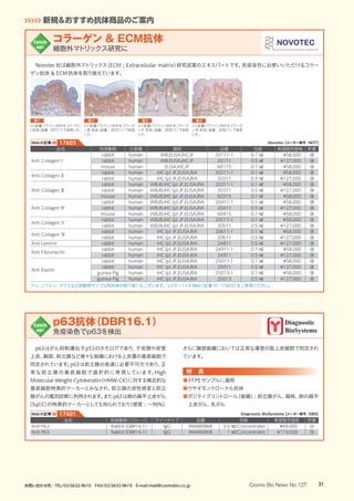 Novotec社は細胞外マトリックス（ECM ; Extracellular matrix）研究試薬のエキスパートです。免疫染色にお使いいただけるコラー
ゲン抗体  ECM抗体を取り揃えています。
図1
ヒト皮膚パラフィン切片をコラーゲン
Ⅰ抗体（品番 : 20111）で染色した。
図2
ヒト皮膚パラフィン切片をコラーゲ
ンⅢ 抗体（品番 : 20311）で染色
した。
図3
ヒト皮膚パラフィン切片をコラーゲ
ンⅤ 抗体（品番 : 20511）で染色
した。
図4
ヒト皮膚パラフィン切片をコラーゲ
ンⅥ 抗体（品番 : 20611）で染色
した。
p63はがん抑制遺伝子p53のホモログであり、子宮頚や尿管
上皮、胸部、前立腺など様々な組織における上皮層の基底細胞で
同定されています。p63は前立腺の発達に必要不可欠であり、正
常な前立腺の基底細胞で選択的に発現しています。High
Molecular Weight-Cytokeratin（HMW-CK）に対する補足的な
基底細胞特異的マーカーとみなされ、前立腺の良性病変と前立
腺がんの鑑別診断に利用されます。またp63は肺の扁平上皮がん
（SqCC）の特異的マーカーとしても知られており（感度 : 〜90%）、
さらに胸部組織においては正常な導管の筋上皮細胞で同定され
ています。
特　長
●FFPEサンプルに適用
●ウサギモノクローナル抗体
●ポジティブコントロール（組織）: 前立腺がん、扁桃、肺の扁平
上皮がん、乳がん
コラーゲン  ECM抗体
細胞外マトリックス研究に
Catch
up!
p63抗体（DBR16.1）
免疫染色でp63を検出
Catch
up!
Novotec【メーカー略号：NOT】Webの記事ID 17603
Diagnostic BioSystems【メーカー略号：DBS】Webの記事ID 17401
品名 免疫動物（クローン） アイソタイプ 品番 包装 希望販売価格 貯蔵
Anti P63 Rabbit（DBR16.1） IgG RMAB086R 0.5 ㎖（Concentrate） ¥69,000 冷
Anti P63 Rabbit（DBR16.1） IgG RMAB086R 1 ㎖（Concentrate） ¥119,000 冷
品名 免疫動物 交差種 適用 品番 包装 希望販売価格 貯蔵
Anti CollagenⅠ
rabbit human WB,ELISA,IHC,IF 20111-1 0.1 ㎖ ¥58,000 凍
rabbit human WB,ELISA,IHC,IF 20111 0.5 ㎖ ¥127,000 凍
mouse human ELISA,IHC,IF 60115 0.1 ㎖ ¥58,000 凍
Anti CollagenⅡ
rabbit human IHC（p）,IF,ELISA,RIA 20211-1 0.1 ㎖ ¥58,000 凍
rabbit human IHC（p）,IF,ELISA,RIA 20211 0.5 ㎖ ¥127,000 凍
Anti Collagen Ⅲ
rabbit human WB,IB,IHC（p）,IF,ELISA,RIA 20311-1 0.1 ㎖ ¥58,000 凍
rabbit human WB,IB,IHC（p）,IF,ELISA,RIA 20311 0.5 ㎖ ¥127,000 凍
mouse human WB,IB,IHC（p）,IF,ELISA,RIA 60315 0.1 ㎖ ¥58,000 凍
Anti Collagen Ⅳ
rabbit human WB,IB,IHC（p）,IF,ELISA,RIA 20411-1 0.1 ㎖ ¥58,000 凍
rabbit human WB,IB,IHC（p）,IF,ELISA,RIA 20411 0.5 ㎖ ¥127,000 凍
mouse human WB,IB,IHC（p）,IF,ELISA,RIA 60415 0.1 ㎖ ¥58,000 凍
Anti Collagen Ⅴ
rabbit human WB,IB,IHC（p）,IF,ELISA,RIA 20511-1 0.1 ㎖ ¥58,000 凍
rabbit human WB,IB,IHC（p）,IF,ELISA,RIA 20511 0.5 ㎖ ¥127,000 凍
Anti Collagen Ⅵ
rabbit human IHC（p）,IF,ELISA,RIA 20611-1 0.1 ㎖ ¥58,000 凍
rabbit human IHC（p）,IF,ELISA,RIA 20611 0.5 ㎖ ¥127,000 凍
Anti Laminin rabbit human IHC（p）,IF,ELISA,RIA 24811 0.5 ㎖ ¥127,000 凍
Anti Fibronectin
rabbit human IHC（p）,IF,ELISA,RIA 24911-1 0.1 ㎖ ¥58,000 凍
rabbit human IHC（p）,IF,ELISA,RIA 24911 0.5 ㎖ ¥127,000 凍
Anti Elastin
rabbit human IHC（p）,IF,ELISA,RIA 25011.1 0.1 ㎖ ¥58,000 凍
rabbit human IHC（p）,IF,ELISA,RIA 25011 0.5 ㎖ ¥127,000 凍
guinea Pig human IHC（p）,IF,ELISA,RIA 25013-1 0.1 ㎖ ¥58,000 凍
guinea Pig human IHC（p）,IF,ELISA,RIA 25013 0.5 ㎖ ¥127,000 凍
ウシ、ニワトリ、マウスなど他動物サンプル用抗体の取り扱いもございます。コスモ・バイオWeb（記事ID : 17603）をご参照ください。
31Cosmo Bio News No.127
新規＆おすすめ抗体商品のご案内
お問い合わせ先：TEL/03-5632-9610　FAX/03-5632-9619　E-mail/mail@cosmobio.co.jp
 