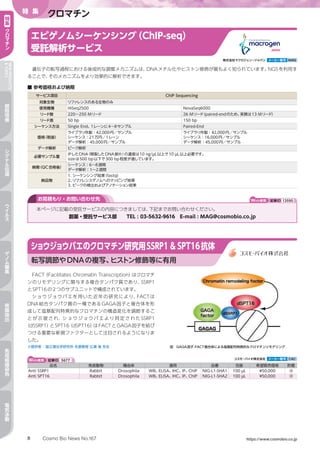 Cosmo Bio News No.167 https://www.cosmobio.co.jp8
特 集
クロマチン特
集
ク
ロ
マ
チ
ン
NEWPRODUCTS
TOPICS
細
胞
培
養
シ
グ
ナ
ル
伝
達
ウ
イ
ル
ス
ゲ
ノ
ム
編
集
核
酸
抽
出
免
疫
組
織
染
色
電
気
泳
動
■ 参考価格および納期
サービス項目 ChIP Sequencing
対象生物 リファレンスのある生物のみ
使用機種 HiSeq2500 NovaSeq6000
リード数 220～250 Mリード 26 Mリード（paired-endのため、実質は13 Mリード）
リード長 50 bp 150 bp
シーケンス方法 Single End、1レーンに4～8サンプル Paired-End
価格（税抜）
ライブラリ作製：42,000円／サンプル
シーケンス：21万円／1レーン
データ解析：45,000円／サンプル
ライブラリ作製：42,000円／サンプル
シーケンス：16,000円／サンプル
データ解析：45,000円／サンプル
データ解析 ピーク解析
必要サンプル量
IPしたDNA（精製したDNA断片）の濃度は10 ng/µL以上で10 µL以上必要です。
sizeは500 bp以下で300 bp程度が適しています。
納期（QC合格後）
シーケンス：6～8週間
データ解析：1～2週間
納品物
1. シーケンシング結果（fastq）
2. リファレンスゲノムへのマッピング結果
3. ピークの検出およびアノテーション結果
遺伝子の転写過程における後成的な調整メカニズムは、DNAメチル化やヒストン修飾が最もよく知られています。NGSを利用す
ることで、そのメカニズムをより効果的に解析できます。
エピゲノムシーケンシング（ChIP-seq）
受託解析サービス
株式会社マクロジェン・ジャパン メーカー略号 MAG
本ページに記載の受託サービスの内容につきましては、下記までお問い合わせください。
創薬・受託サービス部　　TEL : 03-5632-9616　E-mail : MAG@cosmobio.co.jp
お見積もり・お問い合わせ先 Web検索 記事ID 13595
Web検索 記事ID 5677  コスモ・バイオ株式会社 メーカー略号 CAC
品名 免疫動物 種由来 適用 品番 包装 希望販売価格 貯蔵
Anti SSRP1 Rabbit Drosophila WB、ELISA、IHC、IP、ChIP NIG-L1-SHA1 100 µL ¥50,000 凍
Anti SPT16 Rabbit Drosophila WB、ELISA、IHC、IP、ChIP NIG-L1-SHA2 100 µL ¥50,000 凍
FACT（Facilitates Chromatin Transcription）はクロマチ
ンのリモデリングに関与する複合タンパク質であり、SSRP1
とSPT16の2つのサブユニットで構成されています。
ショウジョウバエを用いた近年の研究により、FACTは
DNA結合タンパク質の一種であるGAGA因子と複合体を形
成して塩基配列特異的なクロマチンの構造変化を調節するこ
とが示唆され、ショウジョウバエより同定されたSSRP1
（dSSRP1）とSPT16（dSPT16）はFACTとGAGA因子を結び
つける重要な新規ファクターとして注目されるようになりま
した。
※提供者：国立遺伝学研究所 名誉教授 広瀬 進 先生
ショウジョウバエのクロマチン研究用SSRP1  SPT16抗体
転写調節やDNAの複写、ヒストン修飾等に有用
図　GAGA因子-FACT複合体による塩基配列特異的なクロマチンリモデリング
 