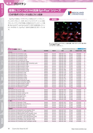 Cosmo Bio News No.167 https://www.cosmobio.co.jp10
特 集
クロマチン特
集
ク
ロ
マ
チ
ン
NEWPRODUCTS
TOPICS
細
胞
培
養
シ
グ
ナ
ル
伝
達
ウ
イ
ル
ス
ゲ
ノ
ム
編
集
核
酸
抽
出
免
疫
組
織
染
色
電
気
泳
動
Web検索 記事ID 9396  Rockland Immunochemicals, Inc. メーカー略号 RKL
品名 免疫動物 種由来 品番 包装 希望販売価格 貯蔵
メチル化
Anti Histone H3 [Trimethyl Lys9] Rabbit Human 600-401-I71 50 µg ¥79,000 凍
Anti Histone H3 [Trimethyl Lys79] Rabbit Human 600-401-I95 50 µg ¥79,000 凍
Anti Histone H3 [Trimethyl Lys56] Rabbit Human 600-401-I94 50 µg ¥79,000 凍
Anti Histone H3 [Trimethyl Lys4] Rabbit Human 600-401-I59 50 µg ¥79,000 凍
Anti Histone H3 [Trimethyl Lys18] Rabbit Human 600-401-I80 50 µg ¥79,000 凍
Anti Histone H3 [Sym-dimethyl Arg8] Rabbit Human 600-401-I68 50 µg ¥79,000 凍
Anti Histone H3 [Sym-dimethyl Arg2, Dimethyl Lys4] Rabbit Human 600-401-I85 50 µg ¥79,000 凍
Anti Histone H3 [Monomethyl Lys9] Rabbit Human 600-401-I69 50 µg ¥79,000 凍
Anti Histone H3 [Monomethyl Lys56] Rabbit Human 600-401-I93 50 µg ¥79,000 凍
Anti Histone H3 [Monomethyl Lys4] Rabbit Human 600-401-I57 50 µg ¥79,000 凍
Anti Histone H3 [Monomethyl Lys36] Rabbit Human 600-401-I86 50 µg ¥79,000 凍
Anti Histone H3 [Monomethyl Lys18] Rabbit Human 600-401-I78 50 µg ¥79,000 凍
Anti Histone H3 [Dimethyl Lys9] Rabbit Human 600-401-I70 50 µg ¥79,000 凍
Anti Histone H3 [Dimethyl Lys4] Rabbit Human 600-401-I58 50 µg ¥79,000 凍
Anti Histone H3 [Dimethyl Lys37] Rabbit Human 600-401-I91 50 µg ¥79,000 凍
Anti Histone H3 [Dimethyl Lys36] Rabbit Human 600-401-I87 50 µg ¥79,000 凍
Anti Histone H3 [Dimethyl Lys18] Rabbit Human 600-401-I79 50 µg ¥79,000 凍
Anti Histone H3 [Asym-dimethyl Arg8] Rabbit Human 600-401-I67 50 µg ¥79,000 凍
Anti Histone H3 [Asym-dimethyl Arg17] Rabbit Human 600-401-I77 50 µg ¥79,000 凍
Anti Histone H4 [Monomethyl Lys20] Rabbit Human 600-401-J01 50 µg ¥79,000 凍
Anti Histone H4 [Monomethyl Arg3] Rabbit Human 600-401-I97 50 µg ¥79,000 凍
Anti Histone H4 [Dimethyl Lys20] Rabbit Human 600-401-J02 50 µg ¥79,000 凍
アセチル化
Anti Histone H3 [acetyl Lys4] Rabbit Human 600-401-I60 50 µg ¥79,000 凍
Anti Histone H3 [acetyl Lys9] Rabbit Human 600-401-I72 50 µg ¥79,000 凍
Anti Histone H3 [acetyl Lys9/Lys14] Rabbit Human 600-401-I73 50 µg ¥79,000 凍
Anti Histone H3 [acetyl Lys18] Rabbit Human 600-401-I81 50 µg ¥79,000 凍
Anti Histone H3 [phospho Ser1] Rabbit Human 600-401-I96 50 µg ¥79,000 凍
Anti Histone H3 [acetyl Lys5] Rabbit Human 600-401-I98 50 µg ¥79,000 凍
Anti Histone H3 [acetyl Lys8] Rabbit Human 600-401-I99 50 µg ¥79,000 凍
リン酸化
Anti Histone H3 [phospho Thr6] Rabbit Human 600-401-I63 50 µg ¥79,000 凍
Anti Histone H3 [phospho Ser10/Thr11] Rabbit Human 600-401-I75 50 µg ¥79,000 凍
Anti Histone H3 [phospho Thr11] Rabbit Human 600-401-I76 50 µg ¥79,000 凍
Anti Histone H3 [phospho Ser28] Rabbit Human 600-401-I83 50 µg ¥79,000 凍
二重修飾
Anti Histone H3 [Dimethyl Lys4, phospho Thr3] Rabbit Human 600-401-I55 50 µg ¥79,000 凍
Anti Histone H3 [acetyl Lys4, phospho Thr3] Rabbit Human 600-401-I56 50 µg ¥79,000 凍
Anti Histone H3 [Monomethyl Lys4, phospho Thr6] Rabbit Human 600-401-I61 50 µg ¥79,000 凍
Anti Histone H3 [Trimethyl Lys4, phospho Thr6] Rabbit Human 600-401-I62 50 µg ¥79,000 凍
Anti Histone H3 [phospho Thr6, Monomethyl Lys9] Rabbit Human 600-401-I64 50 µg ¥79,000 凍
Anti Histone H3 [phospho Thr6, Dimethyl Lys9] Rabbit Human 600-401-I65 50 µg ¥79,000 凍
Anti Histone H3 [Trimethyl Lys9, phospho Thr6] Rabbit Human 600-401-I66 50 µg ¥79,000 凍
Anti Histone H3 [Trimethyl Lys27, phospho Ser28] Rabbit Human 600-401-I84 50 µg ¥79,000 凍
Epi-Plus®
抗体は、ペプチドアレイを用いたドットブロット、
ウェスタンブロット、ChIP、ICCについてバリデーション済み
です。ロックランド社で作製した特定のエピジェネティック修
飾（Epi-SynH3™ and Epi-SynH4™）を伴う全長合成ヒストン
H3、H4を用いて、Epi-Plus®
抗体の正確なQCを行っていま
す。
修飾ヒストンH3/H4抗体Epi-Plus®
シリーズ
ChIP用ポリクローナル抗ヒストン抗体
使用例
図　ヒストンH4モノメチルアルギニン3抗体（品番：NB21-2011）とFITC（緑）を用い
たHeLa細胞のICC結果
DAPI（青）を用いて核酸を染色した。
 