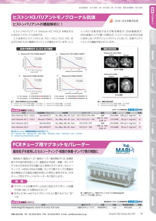 11Cosmo Bio News No.167お問い合わせ先　TEL：03-5632-9610　FAX：03-5632-9619　E-mail：mail@cosmobio.co.jp
室 冷 凍 凍 液窒室温保存 4℃保存 −20℃保存 −70℃保存 液体窒素−196℃保存 特
集
ク
ロ
マ
チ
ン
NEWPRODUCTS
TOPICS
細
胞
培
養
シ
グ
ナ
ル
伝
達
ウ
イ
ル
ス
ゲ
ノ
ム
編
集
核
酸
抽
出
免
疫
組
織
染
色
電
気
泳
動
磁性粒子（磁気ビーズ／磁性ビーズ／磁性微粒子）は、医療診
断やその他の研究用として、細胞および抗体・核酸・ポリペプ
チドなどの生体分子の分離に広く使用されています。セルソー
ティング、mRNA/DNAの単離、タンパク質やタンパク質複合
体の精製などの磁気分離を利用した研究に使用できる、PCR
チューブ用マグネットセパレーターをご紹介します。
PCRチューブ用マグネットセパレーター
磁性粒子を使用したセルソーティング・核酸の単離・タンパク質の精製に
Web検索 記事ID 14571  株式会社モノクローナル抗体研究所 メーカー略号 MCA
品名 適合サイズ 品番 包装 希望販売価格 貯蔵
MABI-Mag200 Magnetic stand for 8-strip PCR tube 8連PCRチューブ×2 MABI0812 1 pc ¥45,000 室
特　長
●	マグネットの位置がボトム付近に設定されており、小容量
での取り扱いにも便利なスタンド
●	氷冷した96 wellアルミブロックの上に置けるように“足”
つき
図　8連PCRチューブ用マグネットスタンド MABI-Mag200
※チューブは付属しません。
ヒストンH3バリアント（Histone H3.1/H3.3）を検出する
ためのモノクローナル抗体です。
ヒト由来のヒストンH3には、H3.1、H3.2、H3.3、H3t、お
よびCENP-Aの5種類のバリアントが報告されています。ヒス
ト ンH3.1は 転 写 因 子 お よ び 転 写 補 因 子、DNA複 製 因 子、
DNA修復タンパク質への関与が、ヒストンH3.3はDNA合成
に依存しないデポジションパスウェイにおいて、交換バリアン
トとしての機能が知られています。
ヒストンH3バリアントモノクローナル抗体
ヒストンバリアントの機能解析に！
1.000
0.900
0.800
0.700
0.600
0.500
0.400
0.300
0.200
0.100
0.000
1 0.1 0.01 0.001
Absorbance450nm
antibody concentration (µg/ml)
H3.1 peptide
H3.3 peptide
Histone H3.1/H3.2 MAb (6G3C7)
Histone H3.3 MAb (6C4A3)
Histone H3.1/H3.2 MAb (1D4F2)
Histone H3.3 MAb (4H2D7)
0.450
0.400
0.350
0.300
0.250
0.200
0.150
0.100
0.050
0.000
500
1000
5000
10000
50000
10000
500000
100000
Absorbance450nm
antibody dilution
H3.1 peptide
H3.3 peptide
0.500
0.450
0.400
0.350
0.300
0.250
0.200
0.150
0.100
0.050
0.000
500
1000
5000
10000
50000
10000
500000
100000
Absorbance450nm
antibody dilution
H3.1 peptide
H3.3 peptide
0.700
0.600
0.500
0.400
0.300
0.200
0.100
0.000
1 0.1 0.01 0.001
Absorbance450nm
antibody concentration (µg/ml)
H3.1 peptide
H3.3 peptide
A : H3.1 peptide 79 KTDLRFQSSAVMALQEASEA 97
B : H3.3 peptide 79 KTDLRFQSAA I GALQEASEA 97
C: H3.1 peptide 21 ATKAARKSAPATGGVKKPH 39
D : H3.3 peptide 21 ATKAARKSAPSTGGVKKPH 39
A :
B :
C :
D :
抗体の特異性を ELISA 法で確認
図1　抗体の特異性をELISA法で確認
A：Histone H3.1/H3.2抗体（品番：CE-039A）、B：Histone H3.3抗体（品番：CE-040A）
C：Histone H3.1/H3.2抗体（品番：CE-039B）、D：Histone H3.3抗体（品番：CE-040B）
細胞の蛍光染色
Histone H3.1/H3.2 MAb
(1D4F2) Hoechst
NIH3T3 細胞
Histone H3.3 MAb
(4H2D7) Hoechst
HeLa 細胞
図2　細胞の蛍光染色
上：Histone H3.1/H3.2抗体（品番：CE-039B）
下：Histone H3.3抗体（品番：CE-040B）
Web検索 記事ID 10360  コスモ・バイオ株式会社 メーカー略号 CAC
品名 免疫動物（クローン） 交差種 エピトープ 適用 品番 包装 貯蔵
Anti Histone H3.1 / H3.2 Rat（6G3C7） Hu, Mky, Ms, Rt, Can H3.1/H3.2（79～94） WB CE-039A 100 µL（1 mg/mL） 凍
Anti Histone H3.1 / H3.2 Mouse（1D4F2） Hu, Mky, Ms, Rt, Can H3.1/H3.2（21～39）
WB, IC, IHC,
ChIP, IP
CE-039B 50 µL（1 mg/mL） 凍
Anti Histone H3.3 Rat（6C4A3） Hu, Mky, Ms, Rt, Can H3.3（79～97） WB CE-040A 100 µL（1 mg/mL） 凍
Anti Histone H3.3 Rat（4H2D7） Hu, Mky, Ms, Rt, Ham H3.3（21～39）
WB, IC, IHC,
ChIP, IP
CE-040B 50 µL（1 mg/mL） 凍
種由来はHuman、希望販売価格は¥58,000です。
Hu：Human、Ms：Mouse、Rt：Rat、Mky：Monkey、Ham：Hamster、Can：Canine
IC：Immunocytochemistry（cell）
 