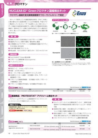 Cosmo Bio News No.167 https://www.cosmobio.co.jp12
特 集
クロマチン特
集
ク
ロ
マ
チ
ン
NEWPRODUCTS
TOPICS
細
胞
培
養
シ
グ
ナ
ル
伝
達
ウ
イ
ル
ス
ゲ
ノ
ム
編
集
核
酸
抽
出
免
疫
組
織
染
色
電
気
泳
動
本キットで使用している細胞透過性色素は、DNA二本鎖上
に積み重ねられた塩基対間に入り込む芳香族性、平面カチオ
ン構造をしているUVレーザーを必要としない488 nmレー
ザーで励起する緑色蛍光試薬です。色素分子の環境依存性蛍光
増強や、溶液中のフリー色素に比例的な蛍光シグナル増加を示
します。強いシグナル増強はアポトーシス中のDNA凝縮で観
察されます。
特　長
●	凝縮クロマチンの蛍光検出によるアポトーシス解析
●	細胞死パスウェイ解析や薬剤／毒性研究に最適
●	正常細胞に比べてアポトーシス誘導細胞の凝縮クロマチン
を40倍強く蛍光染色
●	洗浄不要の簡単プロトコール
●	検出波長：NUCLEAR-ID®
（緑）Ex/Em：503 nm/531 nm
構成内容
●	NUCLEAR-ID®
Green検出試薬
●	アポトーシス誘導試薬（Staurosporine）
●	アッセイバッファー
品質コントロール
●	吸収ピーク：λmax = 507±4 nm
●	純度：≧93%（HPLC）
●	QC：ロット毎にJurkat細胞でテストしています
●	未処理コントロール細胞 ： 生存細胞＞85%、アポトーシス
細胞集団＜15%
●	アポトーシス誘導処理細胞 ： 生存細胞＞60%、アポトーシ
ス細胞集団＜30%
●	アポトーシス細胞の平均蛍光／生存細胞の平均蛍光＞40
NUCLEAR-ID®
Greenクロマチン凝縮検出キット
クロマチン凝縮を蛍光顕微鏡観察やフローサイトメトリーで測定
Web検索 記事ID 7564  Enzo Life Sciences, Inc. メーカー略号 ENZ
品名 品番 包装 希望販売価格 貯蔵
NUCLEAR-ID®
Green chromatin condensationdetection kit ENZ-51021-K200 1 kit（200 assays） ¥55,000 凍
アプリケーション例
図1　アポトーシスの過程でのクロマチン凝縮の各ステージ
図2　蛍光顕微鏡でクロマチン凝縮を観察
HeLa細胞を0.2% DMSOで処理（コントロール）、もしくは2 µMスタウロスポリンで処理し、
5 µM NUCLEAR-ID®
Green試薬で染色した。スタウロスポリンで処理した細胞では、アポトー
シスの特徴である凝縮クロマチンを強く染色した。
Web検索 記事ID 7529  Enzo Life Sciences, Inc. メーカー略号 ENZ
品名 品番 包装 希望販売価格 貯蔵
PROTEOSTAT®
Aggresome detection kit
ENZ-51035-0025
1 kit
（25 flow cytometry assays or 50 microscopy assays）
¥20,000 凍
ENZ-51035-K100
1 kit
（100 flow cytometry assays or 200 microscopy assays）
¥57,000 凍
アグリソームやアグリソーム様凝集体をフローサイトメト
リーやイメージングで解析するキットです。
関連商品　PROTEOSTAT®
アグリソーム検出キット
特　長
●	セルベースアッセイによる薬剤応答アッセイ ： 実際の生細
胞条件下での神経変性疾患に関与するインヒビターを同定
可能
●	信頼性が高く簡便 ： 非生理的なタンパク質のミューテー
ションや遺伝子組換え細胞株不要
●	固定化細胞アッセイ ： 凝集したタンパク質とアグリソーム
形成に関わる様々なタンパク質間の相互作用を解析可能
●	フローサイトメトリーでアグリソーム蓄積を簡単定量
詳細は Web へ
製品使用文献や、製品データ、テックノート、FAQ の情報をコスモ・バイオ
の Web よりご覧いただけます。
検索方法 記事ID検索 7529 検索検索
 