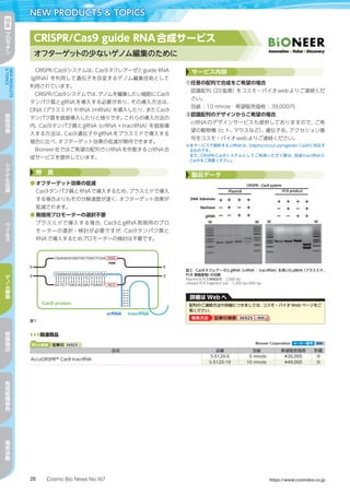 Cosmo Bio News No.167 https://www.cosmobio.co.jp26
NEW PRODUCTS  TOPICS特
集
ク
ロ
マ
チ
ン
NEWPRODUCTS
TOPICS
細
胞
培
養
シ
グ
ナ
ル
伝
達
ウ
イ
ル
ス
ゲ
ノ
ム
編
集
核
酸
抽
出
免
疫
組
織
染
色
電
気
泳
動
CRISPR/Cas9 guide RNA合成サービス
オフターゲットの少ないゲノム編集のために
CRISPR/Cas9システムは、Cas9ヌクレアーゼとguide RNA	
（gRNA）を利用して遺伝子を改変するゲノム編集技術として
利用されています。
CRISPR/Cas9システムでは、ゲノムを編集したい細胞にCas9	
タンパク質とgRNAを導入する必要があり、その導入方法は、
DNA（プラスミド）やRNA（mRNA）を導入したり、またCas9
タンパク質を直接導入したりと様々です。これらの導入方法の
内、Cas9タンパク質とgRNA（crRNA＋tracrRNA）を直接導
入する方法は、Cas9遺伝子やgRNAをプラスミドで導入する
場合に比べ、オフターゲット効果の低減が期待できます。
Bioneer社ではご希望の配列でcrRNAを作製するcrRNA合
成サービスを提供しています。
サービス内容
①任意の配列で合成をご希望の場合
認識配列（20塩基）をコスモ・バイオwebよりご連絡くだ
さい。
包装：10 nmole　希望販売価格：39,000円
②認識配列のデザインからご希望の場合
crRNAのデザインサービスも提供しておりますので、ご希
望の動物種（ヒト、マウスなど）、遺伝子名、アクセション番
号をコスモ・バイオwebよりご連絡ください。
※本サービスで提供するcrRNAは、Steptococcus pyrogenes Cas9に対応す
るものです。
また、CRISPR/Cas9システムとしてご利用いただく際は、別途tracrRNAと
Cas9をご用意ください。
特　長
●	オフターゲット効果の低減
Cas9タンパク質とRNAで導入するため、プラスミドで導入
する場合よりもその分解速度が速く、オフターゲット効果が
低減されます。
●	発現用プロモーターの選択不要
プラスミドで導入する場合、Cas9とgRNA発現用のプロ
モーターの選択・検討が必要ですが、Cas9タンパク質と
RNAで導入するためプロモーターの検討は不要です。
製品データ
図2　Cas9ヌクレアーゼとgRNA（crRNA ： tracrRNA）を用いたpBHA（プラスミド、
PCR 増幅産物）の切断
Plasmid  PCR増幅産物：2,000 bp
cleaved PCR fragment size：1,200 bp+800 bp
図1
▶▶▶関連商品
Web検索 記事ID 36925  Bioneer Corporation メーカー略号 BIN
品名 品番 包装 希望販売価格 貯蔵
AccuCRISPR™ Cas9 tracrRNA
S-5120-5 5 nmole ¥30,000 凍
S-5120-10 10 nmole ¥49,000 凍
詳細は Web へ
配列のご連絡方法や詳細につきましては、コスモ・バイオ Web ページをご
覧ください。
検索方法 記事ID検索 36925 検索検索
 
