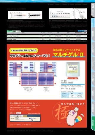 31Cosmo Bio News No.167お問い合わせ先　TEL：03-5632-9610　FAX：03-5632-9619　E-mail：mail@cosmobio.co.jp
室 冷 凍 凍 液窒室温保存 4℃保存 −20℃保存 −70℃保存 液体窒素−196℃保存 特
集
ク
ロ
マ
チ
ン
NEWPRODUCTS
TOPICS
細
胞
培
養
シ
グ
ナ
ル
伝
達
ウ
イ
ル
ス
ゲ
ノ
ム
編
集
核
酸
抽
出
免
疫
組
織
染
色
電
気
泳
動
図5　新規抗生物質（ヒスチジンキナーゼ阻害剤）のスクリーニング
Phos-tag®
Cyanを用いて染色をすることで、ヒスチジンキナーゼ阻害剤のスクリーニングを
行った。
Ref: “Quantitative monitoring of His and Asp phosphorylation in a bacterial signaling system by
using Phos-tag Magenta/Cyan fluorescent dyes”, Electrophoresis 2019 E. Kinoshita-Kikuta,
H. Kusamoto, S. Ono, K. Akayama, Y. Eguchi, M. Igarashi, T. Okajima, R. Utsumi, E.
Kinoshita, and T. Koike
図4　ヒスチジンの自己リン酸化解析
ATP存在下での経時的なヒスチジンの自己リン酸化の解析をするために、Phos-tag®
Magenta
を用いてゲルの染色を行った（左）後、CBB染色を行った（右）。
Ref: “Quantitative monitoring of His and Asp phosphorylation in a bacterial signaling system by
using Phos-tag Magenta/Cyan fluorescent dyes”, Electrophoresis 2019 E. Kinoshita-Kikuta,
H. Kusamoto, S. Ono, K. Akayama, Y. Eguchi, M. Igarashi, T. Okajima, R. Utsumi, E.
Kinoshita, and T. Koike
Phos-tag®
Gel Stainの使用例
Web検索 記事ID 37279  株式会社ナード研究所 メーカー略号 NAD
品名 Ex（nm） Em（nm） 品番 包装 希望販売価格 貯蔵
Phos-tag®
Yellow 505 514 NPGS-Y01 0.2 mg ¥20,000 冷
Phos-tag®
Magenta 547 561 NPGS-M01 0.2 mg ¥20,000 冷
Phos-tag®
Cyan 643 661 NPGS-C01 0.2 mg ¥20,000 冷
Phos-tag®
Aqua 551 564 NPGS-A01 0.2 mg ¥20,000 冷
Mixed reagents for Phos-tag®
Common Solution 5x ― ― NPGS-MR1 1 bottle ¥5,000 冷
 