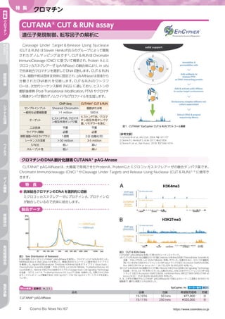 Cosmo Bio News No.167 https://www.cosmobio.co.jp2
特 集
クロマチン特
集
ク
ロ
マ
チ
ン
NEWPRODUCTS
&TOPICS
細
胞
培
養
シ
グ
ナ
ル
伝
達
ウ
イ
ル
ス
ゲ
ノ
ム
編
集
核
酸
抽
出
免
疫
組
織
染
色
電
気
泳
動
Cleavage Under Target & Release Using Nuclease
（CUT & RUN）はSteven Henikoff氏らのグループによって開発
されたゲノムマッピング法です3）
。CUT & RUNはChromatin
ImmunoCleavage（ChIC）に基づいて構築され、Protein Aとミ
クロコッカスヌクレアーゼ（pA-MNase）の融合体により、in situ
で抗体結合クロマチンを選択してDNA切断します。CUT & RUN
では、細胞や核は固体支持体に固定され、pA-MNaseは溶液から
分離されたDNA断片を切断します。CUT & RUNのワークフ
ローは、次世代シーケンス解析（NGS）に適しており、ヒストンの
翻訳後修飾（Post-Translational Modification, PTM）やクロマチ
ン関連タンパク質のゲノムワイドなプロファイルを生成します。
CUTANA®
CUT & RUN assay
遺伝子発現制御、転写因子の解析に
［参考文献］
1) Schmid M et al., Mol Cell. 2004; 16:147-157
2) Skene PJ, Henikoff S. eLife 2017; 6:e21856
3) Skene PJ et al., Nat Protoc. 2018; 13:1006-1019
CUTANA®
pAG-MNaseは、大腸菌で発現させたProteinA、ProteinGとミクロコッカスヌクレアーゼの融合タンパク質です。
Chromatin Immunocleavage（ChIC）1）
やCleavage Under Targets and Release Using Nuclease（CUT & RUN）2, 3）
に使用で
きます。
Web検索 記事ID 36223  EpiCypher, Inc メーカー略号 ECY
品名 品番 包装 希望販売価格 貯蔵
CUTANA®
pAG-MNase
15-1016 50 rxns ¥77,000 凍
15-1116 250 rxns ¥320,000 凍
特　長
●	抗体結合クロマチンのDNAを選択的に切断
ミクロコッカスヌクレアーゼにプロテインA、プロテインG
が融合しているので抗体に結合します。
図3　CUT  RUN Data
CUTANA®
pAG-MNaseを用いて得られたシーケンストラック。
（A）CUT  RUNはK-562細胞0.5×106
個にHistone H3K4me3抗体（ThermoFisher Scientific社
品番 ： PA5-27029, Lot SG2419844A）を用いて行った。比較のために、2.0×107
細胞を
用いているENCODEからリファレンスChIP-seqトラック（GEO Accession GSM2534288,
Run SRR5339104 at locus chr1：26,732,009-26,900,000）を用いた。
（B）CUT  RUNはK-562細胞0.5×106
個にHistone H3K27me3抗体（Cell Signaling Technology
社品番：9733, Lot 14）を用いて行った。比較のために、ENCODEからリファレンスChIP-seq
トラック（GEO Accession GSM733658, combined Runs SRR227389+SRR227390 at
locus chr20：35,914,690-36,600,000）を用いた。
A、B、いずれの場合でもCUTANA®
pAG-MNaseは10倍以上のシーケンス深度と40分の1の
細胞数で、優れた感度とS/N比を示した。
製品データ
図2　Size Distribution of Released
K-562細胞 0.5×106
にCUTANA®
pAG-MNaseを使用し、クロマチンCUT  RUNを行った。
NEBNextUltra II DNA prep Kitを用いて、精製DNAからシーケンス解析用のライブラリ
を構築した。Agilent社BioanalyzerでHistone H3K4me3由来のライブラリ（blue track ；
ThermoFisher Scientific社品番 ： PA5-27029, Lot SG2419844A、Tri-Methyl-Histone H3
（Lys4）抗体）と、Histone H3K27me3由来のライブラリ（orange track; Cell Signaling Technology
社品番 ： 9733, Lot 14、Tri-Methyl-Histone H3（Lys27）抗体）を解析した。切除されたDNA
はモノヌクレオソームが豊富である（300 bpのピークは150 bpのインサートサイズを反映し
ている）。
クロマチンのDNA断片化酵素CUTANA®
pAG-Mnase
図1　CUTANA®
EpiCypher CUT  RUNプロトコール概要
ChIP-Seq CUTANA®
CUT  RUN
サンプルインプット Sheared Chromatin 細胞または核
一般的な必要細胞量 ＞1 million 500 K
ターゲット
ヒストンPTM、クロマチ
ン相互作用タンパク質
ヒストンPTM、クロマ
チン相互作用タンパク
質、リモデラーを含む
二次抗体 不要 不要
ライブラリ調製 必要 必要
時間（細胞⇒NGSライブラリ） 1週間 2日（自動化可）
シーケンスの深度 ＞30 million 3-5 million
S/N比 低い 高い
スループット性 低い 高い
 