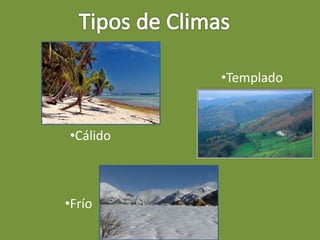 Cbn 7 clima y biomas | PPTX