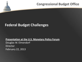 Congressional Budget Office




Federal Budget Challenges


Presentation at the U.S. Monetary Policy Forum
Douglas W. Elme...