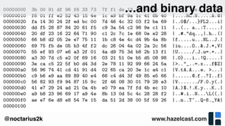 www.hazelcast.com@noctarius2k
…and binary data
 