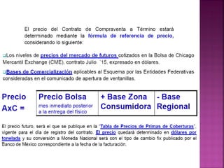 bolsabase personalised