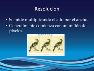 Resolución
• Se mide multiplicando el alto por el ancho.
• Generalmente comienza con un millón de
pixeles.
 