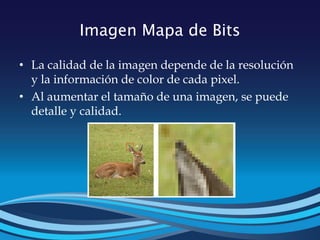 Imagen Mapa de Bits
• La calidad de la imagen depende de la resolución
y la información de color de cada pixel.
• Al aumentar el tamaño de una imagen, se puede
detalle y calidad.
 