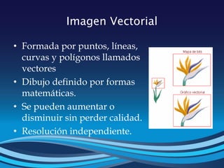 Imagen Vectorial
• Formada por puntos, líneas,
curvas y polígonos llamados
vectores
• Dibujo definido por formas
matemáticas.
• Se pueden aumentar o
disminuir sin perder calidad.
• Resolución independiente.
 