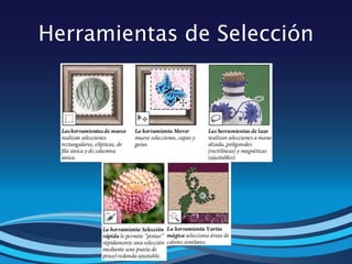 Herramientas de Selección
 