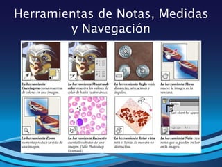 Herramientas de Notas, Medidas
y Navegación
 