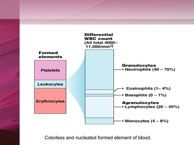 Cbp Normal Values Cbp (3)complete blood picture | PPT