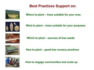 Best Practices Support on: Where to plant – trees suitable for your area Which to plant – sources of tree seeds How to plant – good tree nursery practices What to plant – trees suitable for your purposes How to engage communities and scale up 