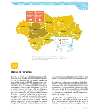 Existencias       Producción
                       de vacas en       de leche de
                       ordeño (nº de     vaca (miles
                       animales)         de litros)


                                                                                 Jaén
                                                         Córdoba
                                                                                12.114
                                                          35.403
                                                                                 7.710
              Huelva                                     177.525

                19                 Sevilla
               196                 14.233                                        Granada
                                  109.159                                         90.517                    Almería
                                                                                  27.524                     90.220
                                                                                                             30.450
                                                       Málaga               Total Andalucía
                                                        2.599                      90.120
                                 Cádiz                 28.389                      482.910
                                       12.943
                                       95.517




                                Distribución del número de vacas de ordeño en Andalucía.
                                Fuente: Anuario de Estadística Agroalimentaria 2006, MAPYA
                                (datos de diciembre de 2005)




Razas autóctonas
Teniendo en cuenta que este Código de Buenas Prác-                 por su mayor capacidad de adaptación, también sería
ticas Ganaderas pretende ser un documento de referen-              posible la utilización de las razas antes mencionadas.
cia para la puesta en práctica de acciones encaminadas
a garantizar la sostenibilidad de las explotaciones ga-            Como aptitud mixta tenemos otras tres: Parda, Nor-
naderas, se pretende que la actividad ganadera se rea-             manda y Simmental (también conocida como Fleckvieh-
lice sobre la base de un manejo adecuado de animales,              Simmental). Estas razas se emplean para la producción
que procederán de razas de aptitud lechera o mixta,                mixta, es decir, son tan aptas para la producción de
si bien las primeras son las que están genéticamente               leche como para la de carne, estando muy distribuida
especializadas en la producción de leche, pero teniendo            por España la raza Fleckvieh por su aptitud lechera,
en cuenta que estarán mas o menos adaptadas según                  a la hora de criar los terneros, pero sin perder la ca-
la región en la que las explotemos. La raza lechera                pacidad de producir carne.
principalmente explotada y más distribuida mundial-
mente es la raza Frisona, pero existen otras razas de              Según la Orden APA/661/2006, de 3 de marzo, por la
aptitud lechera como son: Jersey, Guernsey y Ayrshire              que se actualiza el Catálogo Oficial de Razas de Gana-
cuyos censos también son significativos a nivel mundial.           do de España, las razas de ganado de la especie bovina
Aunque en Andalucía la más extendida sea la Frisona                existentes en España se clasifican de la siguiente forma:

                                                                              Situación del Vacuno de Leche en Andalucía 02 | Pág. 09
 
