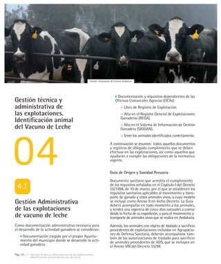 Fuente: Asociación de Frisona Andaluza




                                                                                       Documentación y requisitos dependientes de las
Gestión técnica y                                                                     Oficinas Comarcales Agrarias (OCAs):
administrativa de                                                                         > Libro de Registro de Explotación.
las explotaciones.                                                                        > Alta en el Registro General de Explotaciones
                                                                                          Ganaderas (REGA).
Identificación animal
                                                                                          > Alta en el Sistema de Información de Gestión
del Vacuno de Leche                                                                       Ganadera (SIGGAN).
                                                                                          > Tener los animales identificados correctamente.

                                                                                 A continuación se resumen todos aquellos documentos
                                                                                 y registros de obligado cumplimiento que se deben
                                                                                 efectuar en las explotaciones, así como aquellos que
                                                                                 ayudarán a cumplir las obligaciones de la normativa
                                                                                 vigente.


                                                                                 Guía de Origen y Sanidad Pecuaria

                                                                                 Documento sanitario que acredita el cumplimiento
                                                                                 de los requisitos señalados en el Capítulo I del Decreto
                                                                                 55/1998, de 10 de marzo, por el que se establecen los
                                                                                 requisitos sanitarios aplicables al movimiento y trans-
                                                                                 porte de ganado y otros animales vivos, y cuyo modelo
Gestión Administrativa                                                           se incluye como Anexo II en dicho Decreto. La Guía
                                                                                 deberá acompañar en todo momento a los animales,
de las explotaciones                                                             y tendrá una vigencia de cinco días naturales a contar
de vacuno de leche                                                               desde la fecha de su expedición, y para el movimiento y
                                                                                 transporte de animales vivos que se realice en Andalucía.
Como documentación administrativa necesaria para                                 Además, los animales con objeto de traslado a sacrificio
el desarrollo de la actividad ganadera se consideran:                            procedentes de explotaciones incluidas en Agrupacio-
                                                                                 nes de Defensa Sanitaria, deberán acompañarse tam-
      Documentación exigida por el propio Ayunta-                                bién de las autorizaciones de traslado para sacrificio
    miento del municipio donde se desarrolle la acti-                            de animales procedentes de ADS, que se incluyen en
    vidad ganadera.                                                              el Anexo VIII del Decreto 55/98.
Pág. 14 | 04 Gestión técnica y administrativa de las explotaciones
             Identificación animal del Vacuno de Leche
 