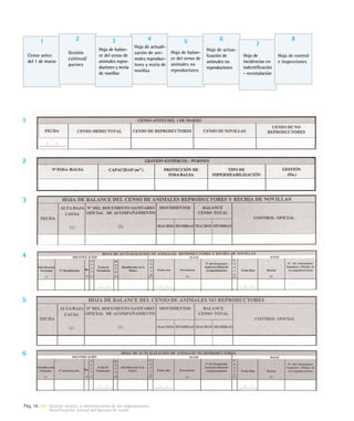 1                2                  3                   4                  5                 6                                  8
                                                           Hoja de actuali-                                             7
                                       Hoja de balan-                                            Hoja de actua-
                       Gestión                             zación de ani-      Hoja de balan-
    Censo antes                        ce del censo de                                           lización de      Hoja de           Hoja de control
                       estiércol/                          males reproduc-     ce del censo de
    del 1 de marzo                     animales repro-                                           animales no      incidencias en    e inspecciones
                       purines                             tores y recría de   animales no
                                       ductores y recría                                         reproductores    indentificación
                                                           novillas            reproductores
                                       de novillas                                                                - recrotalación




1




2




3




4




5




6




Pág. 16 | 04 Gestión técnica y administrativa de las explotaciones
             Identificación animal del Vacuno de Leche
 