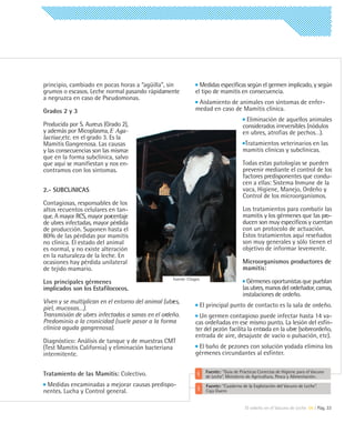 principio, cambiado en pocas horas a “agüilla”, sin               Medidas específicas según el germen implicado, y según
grumos o escasos. Leche normal pasando rápidamente              el tipo de mamitis en consecuencia.
a negruzca en caso de Pseudomonas.
                                                                 Aislamiento de animales con síntomas de enfer-
Grados 2 y 3                                                    medad en caso de Mamitis clínica.
                                                                                            Eliminación de aquellos animales
Producida por S. Aureus (Grado 2),                                                         considerados irreversibles (nódulos
y además por Micoplasma, E Aga-                                                            en ubres, atrofias de pechos…).
lactiae,etc. en el grado 3. Es la
Mamitis Gangrenosa. Las causas                                                              Tratamientos veterinarios en las
y las consecuencias son las mismas                                                         mamitis clínicas y subclínicas.
que en la forma subclínica, salvo
que aquí se manifiestan y nos en-                                                          Todas estas patologías se pueden
contramos con los síntomas.                                                                prevenir mediante el control de los
                                                                                           factores predisponentes que condu-
                                                                                           cen a ellas: Sistema Inmune de la
2.- SUBCLíNICAS                                                                            vaca, Higiene, Manejo, Ordeño y
                                                                                           Control de los microorganismos.
Contagiosas, responsables de los
altos recuentos celulares en tan-                                                          Los tratamientos para combatir las
que. A mayor RCS, mayor porcentaje                                                         mamitis y los gérmenes que las pro-
de ubres infectadas, mayor pérdida                                                         ducen son muy específicos y cuentan
de producción. Suponen hasta el                                                            con un protocolo de actuación.
80% de las pérdidas por mamitis                                                            Estos tratamientos aquí reseñados
no clínica. El estado del animal                                                           son muy generales y sólo tienen el
es normal, y no existe alteración                                                          objetivo de informar levemente.
en la naturaleza de la leche. En
ocasiones hay pérdida unilateral                                                           Microorganismos productores de
de tejido mamario.                                                                         mamitis:
                                                    Fuente: Citagro
Los principales gérmenes                                                                     Gérmenes oportunistas que pueblan
implicados son los Estafilococos.                                                          las ubres, manos del ordeñador, camas,
                                                                                           instalaciones de ordeño.
Viven y se multiplican en el entorno del animal (ubres,
piel, mucosas…).                                                      El principal punto de contacto es la sala de ordeño.
Transmisión de ubres infectadas a sanas en el ordeño.             Un germen contagioso puede infectar hasta 14 va-
Predominio a la cronicidad (suele pasar a la forma              cas ordeñadas en ese mismo punto. La lesión del esfín-
clínica aguda gangrenosa).                                      ter del pezón facilita la entrada en la ubre (sobreordeño,
                                                                entrada de aire, desajuste de vacío o pulsación, etc).
Diagnóstico: Análisis de tanque y de muestras CMT
(Test Mamitis California) y eliminación bacteriana               El baño de pezones con solución yodada elimina los
intermitente.                                                   gérmenes circundantes al esfínter.

                                                                        Fuente: "Guía de Prácticas Correctas de Higiene para el Vacuno
Tratamiento de las Mamitis: Colectivo.                                  de Leche”. Ministerio de Agricultura, Pesca y Alimentación.
 Medidas encaminadas a mejorar causas predispo-                         Fuente: “Cuaderno de la Explotación del Vacuno de Leche”.
nentes. Lucha y Control general.                                        Caja Duero


                                                                                            El ordeño en el Vacuno de Leche 06 | Pág. 33
 