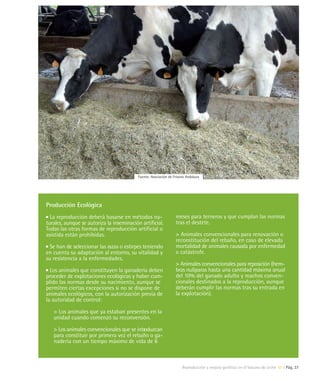 Fuente: Asociación de Frisona Andaluza




Producción Ecológica
  La reproducción deberá basarse en métodos na-                   meses para terneros y que cumplan las normas
turales, aunque se autoriza la inseminación artificial.           tras el destete.
Todas las otras formas de reproducción artificial o
asistida están prohibidas.                                        > Animales convencionales para renovación o
                                                                  reconstitución del rebaño, en caso de elevada
  Se han de seleccionar las razas o estirpes teniendo             mortalidad de animales causada por enfermedad
en cuenta su adaptación al entorno, su vitalidad y                o catástrofe.
su resistencia a la enfermedades.
                                                                  > Animales convencionales para reposición (hem-
  Los animales que constituyen la ganadería deben                 bras nulíparas hasta una cantidad máxima anual
proceder de explotaciones ecológicas y haber cum-                 del 10% del ganado adulto y machos conven-
plido las normas desde su nacimiento, aunque se                   cionales destinados a la reproducción, aunque
permiten ciertas excepciones si no se dispone de                  deberán cumplir las normas tras su entrada en
animales ecológicos, con la autorización previa de                la explotación).
la autoridad de control:

   > Los animales que ya estaban presentes en la
   unidad cuando comenzó su reconversión.

   > Los animales convencionales que se intr
                                           oduzcan
   para constituir por primera vez el rebaño o ga-
   nadería con un tiempo máximo de vida de 6



                                                                      Reproducción y mejora genética en el Vacuno de Leche 07 | Pág. 37
 