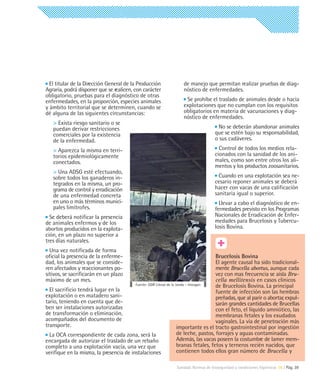 El titular de la Dirección General de la Producción               de manejo que permitan realizar pruebas de diag-
Agraria, podrá disponer que se realicen, con carácter               nóstico de enfermedades.
obligatorio, pruebas para el diagnóstico de otras
enfermedades, en la proporción, especies animales                    Se prohíbe el traslado de animales desde o hacia
y ámbito territorial que se determinen, cuando se                   explotaciones que no cumplan con los requisitos
dé alguna de las siguientes circunstancias:                         obligatorios en materia de vacunaciones y diag-
                                                                    nóstico de enfermedades.
   > Exista riesgo sanitario o se
   puedan derivar restricciones                                                        No se deberán abandonar animales
   comerciales por la existencia                                                      que se estén bajo su responsabilidad,
   de la enfermedad.                                                                  o sus cadáveres.
   > Aparezca la misma en terri-                                                        Control de todos los medios rela-
   torios epidemiológicamente                                                         cionados con la sanidad de los ani-
   conectados.                                                                        males, como son entre otros los ali-
                                                                                      mentos y los productos zoosanitarios.
   > Una ADSG esté efectuando,
   sobre todos los ganaderos in-                                                        Cuando en una explotación sea ne-
   tegrados en la misma, un pro-                                                      cesario reponer animales se deberá
   grama de control y erradicación                                                    hacer con vacas de una calificación
   de una enfermedad concreta                                                         sanitaria igual o superior.
   en uno o más términos munici-                                                        Llevar a cabo el diagnóstico de en-
   pales limítrofes.                                                                  fermedades previsto en los Programas
  Se deberá notificar la presencia                                                    Nacionales de Erradicación de Enfer-
de animales enfermos y de los                                                         medades para Brucelosis y Tubercu-
abortos producidos en la explota-                                                     losis Bovina.
ción, en un plazo no superior a
tres días naturales.
  Una vez notificada de forma
oficial la presencia de la enferme-                                                   Brucelosis Bovina
dad, los animales que se conside-                                                     El agente causal ha sido tradicional-
ren afectados y reaccionantes po-                                                     mente Brucella abortus, aunque cada
sitivos, se sacrificarán en un plazo                                                  vez con mas frecuencia se aísla Bru-
máximo de un mes.                                                                     cella mellitensis en casos clínicos
                                         Fuente: GDR Litoral de la Janda – Innogan    de Brucelosis Bovina. La principal
  El sacrificio tendrá lugar en la                                                    fuente de infección son las hembras
explotación o en matadero sani-                                                       preñadas, que al parir o abortar, expul-
tario, teniendo en cuenta que de-                                                     sarán grandes cantidades de Brucellas
ben ser instalaciones autorizadas                                                     con el feto, el líquido amniótico, las
de transformación o eliminación,                                                      membranas fetales y los exudados
acompañados del documento de                                                          vaginales. La vía de penetración más
transporte.                                                         importante es el tracto gastrointestinal por ingestión
  La OCA correspondiente de cada zona, será la                      de leche, pastos, forrajes y aguas contaminadas.
encargada de autorizar el traslado de un rebaño                     Además, las vacas poseen la costumbre de lamer mem-
completo a una explotación vacía, una vez que                       branas fetales, fetos y terneros recién nacidos, que
verifique en la misma, la presencia de instalaciones                contienen todos ellos gran número de Brucella y

                                                                 Sanidad. Normas de bioseguridad y condiciones higiénicas 08 | Pág. 39
 