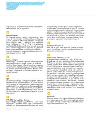 Algunas de las enfermedades más frecuentes en las                       nodepresión y favorece que se agrave los procesos
explotaciones, son las siguientes:                                      respiratorios) y pudiendo provocar diarreas. También
                                                                        provoca problemas de aborto y nacimiento de terneros
                                                                        débiles y malformaciones congénitas. Las hembras
                                                                        también pueden tener infecciones que provoquen el
Enterotoxemias                                                          nacimiento de los terneros API (Animales Persistente-
En el ganado bovino el agente causante de este gran                     mente Infectados) porque reconocen al virus como
grupo de enfermedades es el Clostridium perfringens,                    propio y no responden inmunitariamente a él.
que en función de la toxina que elabore será de uno
de los siguientes tipos: Cl. Perfringens A, Cl. Perfringens
B, Cl. Perfringens C, Cl. P. D y Cl. P. E. Dependiendo
del tipo de Clostridio que afecte al animal, generará                   Virus Parainfluenza 3
uno u otro cuadro patológico o cuadros muy distintos                    Este tipo de virus suele ocasionar rinitis y faringitis
entre si (enfermedad del riñón pulposo, disentería,                     más a menudo que cuadros como laringotraqueítis,
enteritis hemorrágica y gangrena gaseosa, enteritis                     bronquitis y neumonía.
necrotica del ternero, etc.).

                                                                        Coronavirus, rotavirus y E. Coli
Edema Maligno                                                           Provocan cuadros patológicos a nivel de digestivo.
Producida por Clostridium septicum. El microorganismo                   Entrada oral y después se dirigirán al intestino delgado.
penetra en la piel del animal a través de heridas y                     El Rotavirus queda en yeyuno e íleon y el coronavirus,
prolifera, dando lugar a inflamaciones intermusculares                  además, colon y recto. A nivel intestinal destruyen las
que se hunden al presionarlas y que, al abrirlas, supuran               células apicales de las microvellosidades intestinales,
un material gelatinoso-sanguinolento. Aparece sinto-                    destruyendo toda la zona. En condiciones normales,
matología típica de las infecciones como fiebre alta,                   se renuevan por células de la cripta. Estas células di-
inapetencia, etc.                                                       gerirán los nutrientes. Por la destrucción producida
                                                                        por Rotavirus y Coronavirus no hay un ritmo o volumen
                                                                        suficiente para renovar esas células. El animal no po-
                                                                        drá digerir los nutrientes de la leche y hay un incre-
IBR                                                                     mento de disacáridos en la luz, lo que provoca un in-
Infección causada por un herpesvirus (BHV - 1). Es un                   cremento de presión osmótica, absorbiendo y retenien-
herpesvirus que, aparte de provocar un cuadro respira-                  do agua que atraviesa las paredes intestinales, dando
torio, también da cuadros genitales (exantema coital),                  lugar a diarrea en consecuencia e hipovolemia y aci-
cuadros abortivos, cuadros conjuntivales, cuadros de                    dosis, pudiendo provocar shock hipovolémico y muerte.
tipo nervioso por meningoencefalitis, cuadro febril                     La diferencia entre los dos virus está en la intensidad
generalizado en animales jóvenes, etc. Sobre todo se                    y la localización.
localiza en las vías respiratorias altas, y causa un pro-
ceso agudo.

                                                                        Pasteurella
                                                                        Provoca cuadros infecciosos a nivel respiratorio llegan-
DVB-MD. Diarrea Vírica Bovina                                           do a causar neumonías. Una vez asentada y debilitado
Es causada por un pestivirus, afectando a las mucosas                   el sistema inmune, pueden ingresar otras bacterias
respiratoria e intestinal, dando lugar a un cuadro res-                 oportunistas (Moraxella, etc.).
piratorio (por sí mismo y porque contribuye a la inmu-
Pág. 42 | 08 Sanidad. Normas de bioseguridad y condiciones higiénicas
 