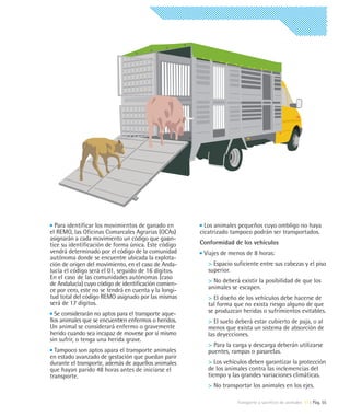 Para identificar los movimientos de ganado en          Los animales pequeños cuyo ombligo no haya
el REMO, las Oficinas Comarcales Agrarias (OCAs)       cicatrizado tampoco podrán ser transportados.
asignarán a cada movimiento un código que garan-
tice su identificación de forma única. Este código     Conformidad de los vehículos
vendrá determinado por el código de la comunidad        Viajes de menos de 8 horas:
autónoma donde se encuentre ubicada la explota-
ción de origen del movimiento, en el caso de Anda-        > Espacio suficiente entre sus cabezas y el piso
lucía el código será el 01, seguido de 16 dígitos.        superior.
En el caso de las comunidades autónomas (caso
de Andalucía) cuyo código de identificación comien-       > No deberá existir la posibilidad de que los
ce por cero, este no se tendrá en cuenta y la longi-      animales se escapen.
tud total del código REMO asignado por las mismas         > El diseño de los vehículos debe hacerse de
será de 17 dígitos.                                       tal forma que no exista riesgo alguno de que
  Se considerarán no aptos para el transporte aque-       se produzcan heridas o sufrimientos evitables.
llos animales que se encuentren enfermos o heridos.       > El suelo deberá estar cubierto de paja, o al
Un animal se considerará enfermo o gravemente             menos que exista un sistema de absorción de
herido cuando sea incapaz de moverse por sí mismo         las deyecciones.
sin sufrir, o tenga una herida grave.
                                                          > Para la carga y descarga deberán utilizarse
  Tampoco son aptos apara el transporte animales          puentes, rampas o pasarelas.
en estado avanzado de gestación que puedan parir
durante el transporte, además de aquellos animales        > Los vehículos deben garantizar la protección
que hayan parido 48 horas antes de iniciarse el           de los animales contra las inclemencias del
transporte.                                               tiempo y las grandes variaciones climáticas.
                                                          > No transportar los animales en los ejes.

                                                                     Transporte y sacrificio de animales 11 | Pág. 55
 