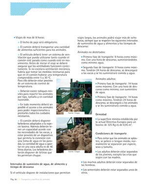 Viajes de mas de 8 horas:                                  viajes largos, los animales podrá viajar más de ocho
                                                                 horas, siempre que se respeten los siguientes intervalos
        > El lecho de paja será obligatorio.                     de suministro de agua y alimentos y los tiempos de
        > El camión deberá transportar una cantidad              descanso:
        de alimentos suficientes para los animales.
                                                                 Animales no destetados:
        > El vehículo deberá tener un sistema de ven-
        tilación que pueda utilizarse tanto cuando el                   Primera fase de transporte: 9 horas como máxi-
        camión esté parado como cuando esté en mo-                     mo. Con una hora de descanso, suministrándoles
        vimiento. Antes de iniciar el viaje se deberá                  como mínimo agua.
        asegurar que los ventiladores funcionen correc-                  Segunda fase de transporte: 9 horas como máxi-
        tamente. Si no existiera ventilación mecánica,                 mo. Tendrán 24 horas de descanso, se descargará
        habría que tomar las medidas necesarias para                   a las vacas y se les suministrará comida y agua.
        que en el camión hubiese una temperatura
        comprendida entre 5 y 30 ºC.                                               Animales adultos:
        Para ello deberán estar provisto
        de un sistema de control de                                                 Primera fase de transporte: 14 horas
        temperatura.                                                               como máximo. Con una hora de des-
                                                                                   canso como mínimo, con suministro
        > Deberán existir tabiques mó-                                             de agua.
        viles para repartir los animales
        por tipo, tamaño y en cantidad                                               Primera fase de transporte: 14 horas
        razonable.                                                                 como máximo. Tendrán 24 horas de
                                                                                   descanso, se descargará a los animales
        > En todo momento deberá ser                                               y se les suministrará comida y agua.
        posible el acceso a los animales
        para poder inspeccionarlos y
        prestarles todos los cuidados                Fuente: Citagro
                                                                                   Densidad
        necesarios.
                                                                                     La superficie mínima establecida por
        > El camión deberá disponer                                                la actual Directiva Europea para un
        bebederos adaptados a la espe-                                             bovino de 325 Kg es de 0,95 m2.
        cie bovina. Además deberán te-
        ner un capacidad acorde con
        las necesidades de las vacas, y                                            Condiciones de transporte
        estar provisto de un dispositivo
        que permita la conexión con                                                  Para evitar que los animales se aplas-
        una toma de agua en las para-                                              ten, se peleen o tengan miedo, nor-
        das. La cantidad de agua a apor-                                           malmente se separarán por especie,
        tar en una vaca adulta es de 40                                            sexo y tamaño.
        litros diarios. Los bebederos de-
        berán disponer de tetinas que                Fuente: Citagro                 Los adultos deberán estar separados
        les permitan chupar.                                                       de los jóvenes, excepto las crías que
                                                                                   viajen con las madres.
                                                                         Los machos adultos deberán estar separados de
Intervalos de suministro de agua, de alimento y                        las hembras.
tiempo de descanso
                                                                        Los sementales deberán estar separados unos de
Si el vehículo dispone de instalaciones que permitan                   otros.

Pág. 56 | 11 Transporte y sacrificio de animales
 