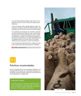 Los animales deberán poder estar de pie en su
   posición natural y tener suficiente espacio para
   tumbarse.
    Si los animales están atados deberán poder ali-
   mentarse, tumbarse y beber. No deberá atarse a los
   animales por los cuernos ni por los anillos nasales.
     Los medios de transporte de animales, salvo de
   animales domésticos, deberán estar autorizados,
   al igual que la empresa propietaria, por la Junta
   de Andalucía, cumplir las condiciones higiénico-
   sanitarias y de protección animal establecidas por
   la reglamentación, así como llevar los rótulos
   indicativos que proceda en cada circunstancia.
    Los conductores deberán llevar a bordo del vehí-
   culo la pertinente documentación de traslado.
       Fuente: Legislación Vigente.




Prácticas recomendadas
Al ser la legislación con los requisitos exigidos en el
transporte de animales, no se considera necesario re-
comendar ninguna práctica adicional, más allá de las
contempladas en la legislación.



  Producción Ecológica

    Se deberá reducir al mínimo el estrés en los ani-
  males, cargándolos y descargándolos con precau-
  ción y sin emplear ningún sistema de estimulación
  eléctrica ni tranquilizantes alopáticos.
                                                              Fuente: Citagro


                                                          Transporte y sacrificio de animales 11 | Pág. 57
 
